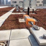 Green Roof Horizontal Cable Lifeline on University Rooftop